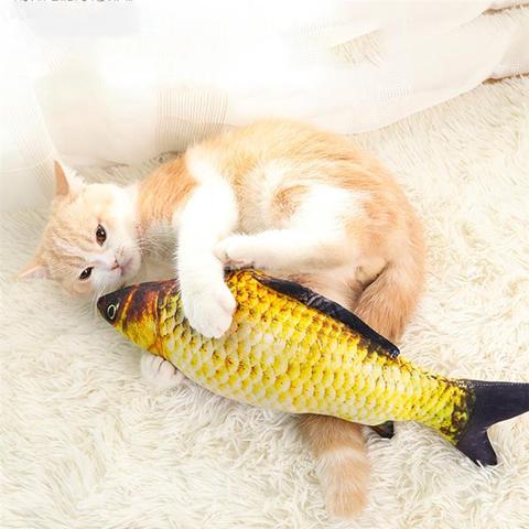 un chat avec un jouet en forme de poisson